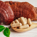 Cogumelo Reishi - 100% puro