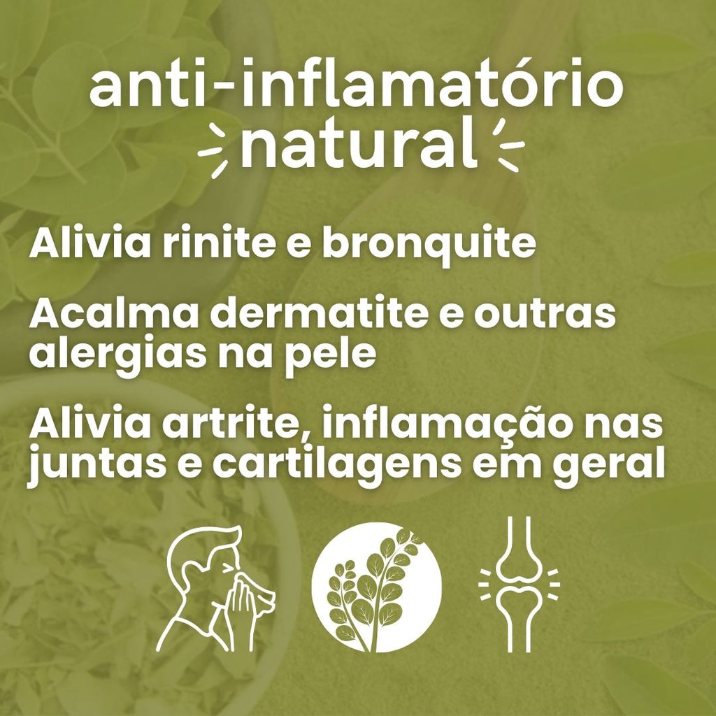 Moringa - 100% pura