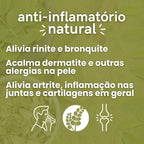 Moringa - 100% pura